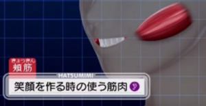 好感度アップの笑顔の秘訣-頬筋-画像